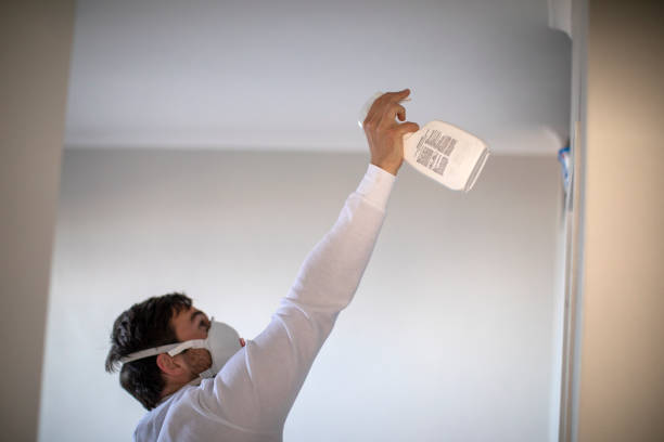 Best Professional Mold Removal  in Lahaina, HI